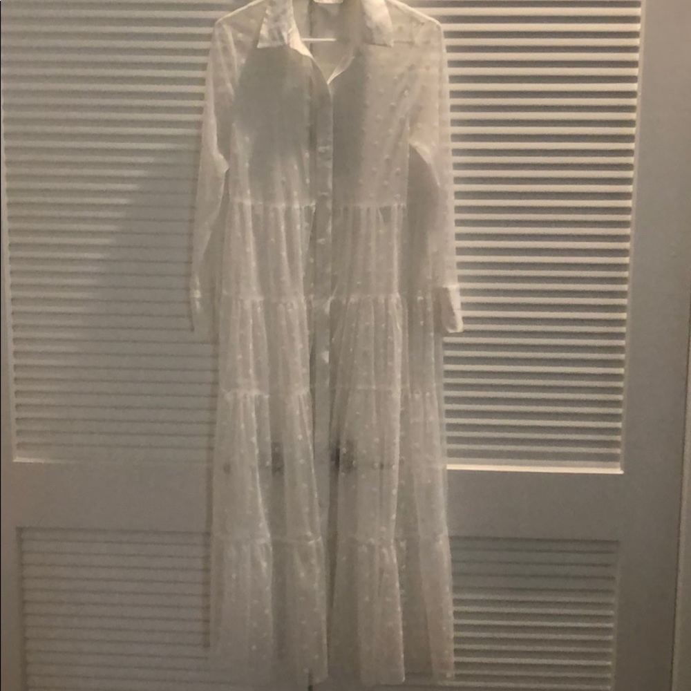 Zara Lace polka dot maxi dress